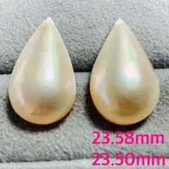 カル@プロフ必読様 リクエスト 2点 まとめ商品