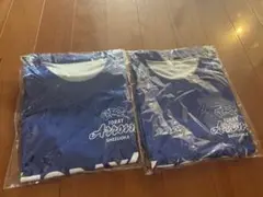 東レ静岡　バレー　TORAY シャツ サイズ12 青　2枚セット