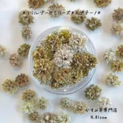 かすみ草　＊カプチーノ＊　60粒＋α フリルブーケシリーズ　ドライフラワー