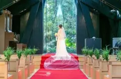 ウェディング　ベール ロング ホワイト　AULANOVA