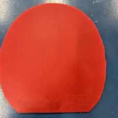 ディグニクス80