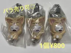 SKZOOつまんでつなげてますこっと /ジニレット（バラ売り可）