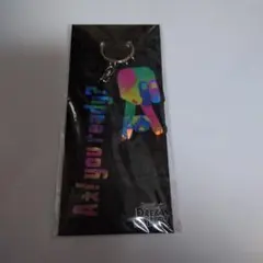 a.様 リクエスト 2点 まとめ商品