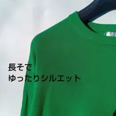 新品 春物 きれい色 linoluce ニット カットソー リノルーセ