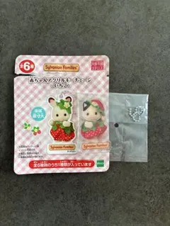 シルバニア　くじ　アクリルキーチェーンのサムネイル
