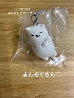 ねこあつめ２めじるしアクセサリー２
