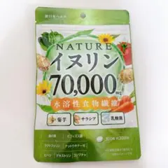 Item thumbnail for item 33850306-2682-4a1e-9ac8-5493bf3b8d42