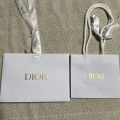 Dior ショップ袋 大小 バラ売り可