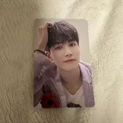 SEVENTEEN ジョンハン　舞い落ちる花びら　トレカ