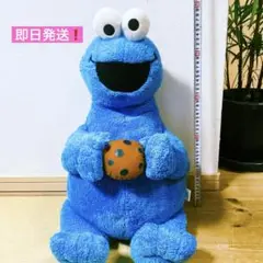 クッキーモンスター　ぬいぐるみ