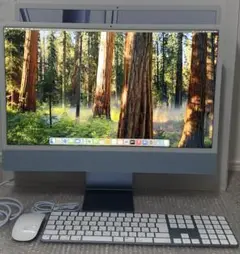 Apple iMac 24インチ M3 4port 24GB 1TB 2023