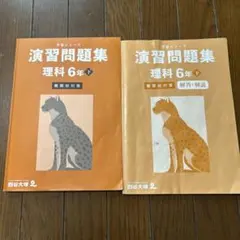 予習シリーズ　演習問題集 理科 6年 下