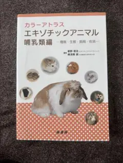 2026年最新】エキゾチックアニマル の人気アイテム - メルカリ