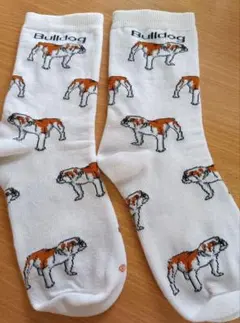 ビームスボーイ*ブルドッグ柄ソックス