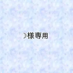 ☽様専用 ネイルチップオーダー
