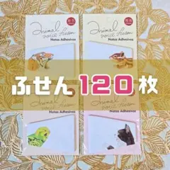 すん様 リクエスト 2点 まとめ商品