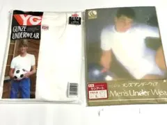 セシール、グンゼYG 半袖丸首Tシャツ Lサイズ　まとめて2枚　新品★3246H