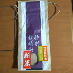 Item thumbnail for item f30cccbf-4bff-4ef1-840c-fa44b213efb5