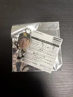 Item thumbnail for item dabd0125-96bb-45d2-8f89-23a53b8369df