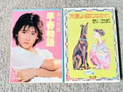 赤川次郎『天使よ盗むなかれ』『早春物語』