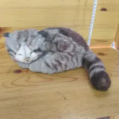 昭和レトロ☆アライグマ べべちゃん 洗えるぬいぐるみ ファースト社