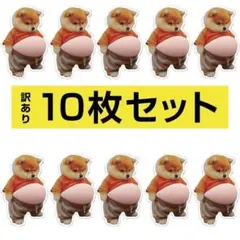 <訳あり>10枚 柴犬 ぷにぷに シール おなか 3D ぷっくり シール帳 イヌ