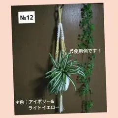《マクラメプラントハンガー》（全長約80㎝/色：アイボリー&ライトイエロー）