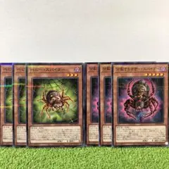 遊戯王 ベビースパイダー 分裂するマザースパイダー ノーパラ セット