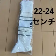 サッカーソックス ホワイト 22-24cm ストライプ　レサンクセンス