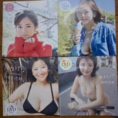 【seju】川口葵 榎原依那 紀内乃秋 大熊杏優 DVD セット