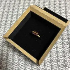 januka（ヤヌカ）BAND RING GARNET#2928