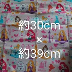 メルカリ便 かわいいディズニープリンセス 生地 約30cm×約39cm はぎれ布