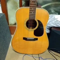 Morris アコースティックギター ドレッドノート
