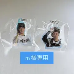 【m様専用】阪神タイガース めじるし オーロラチャーム