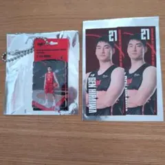 アルバルク東京　平岩玄選手　キーホルダー/ステッカー