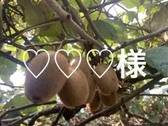 専用ページ♡♡♡様