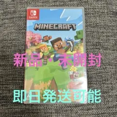 minecraft switch