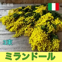 tora*様 リクエスト 2点 まとめ商品