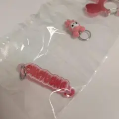 TWICE LOVELYS アクリルカラビナフロッキーマスコット 【チェヨン】