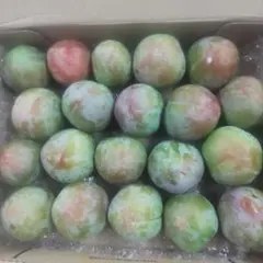 ソルダムのサムネイル