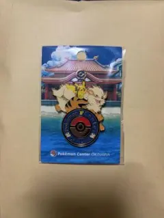 2026年最新】ポケモンセンターオキナワ ロゴピンズの人気アイテム