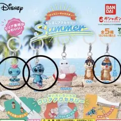 ディズニー キャラクター めじるしアクセサリー Summer 2点セット