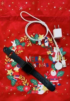 高級感×便利さ。Series4《ステンレス・LTE》美品セット