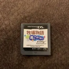 牧場物語　風のバザール　ds