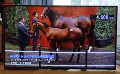 SHARP AQUOS LC-40U20 液晶テレビ 本体のサムネイル
