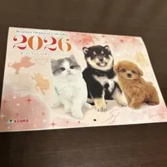 Item thumbnail for item f99e49fd-aff9-48bc-9c5a-82e5857c6aa9