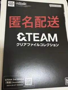 &TEAM クリアファイルコレクション　タキ