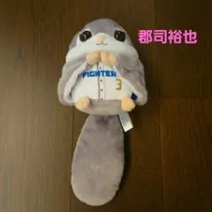 郡司裕也 動物ぬいぐるみくじ 4等のサムネイル
