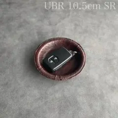 Item thumbnail for item 4a400de8-b9ed-4467-abcc-4dc5a2dd8a1e