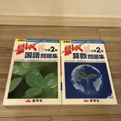 最レベ国語　最レベ算数　小学2年